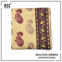 Load image into Gallery viewer, Multani Embro Pashmina Shawl For Ladies - MES1
